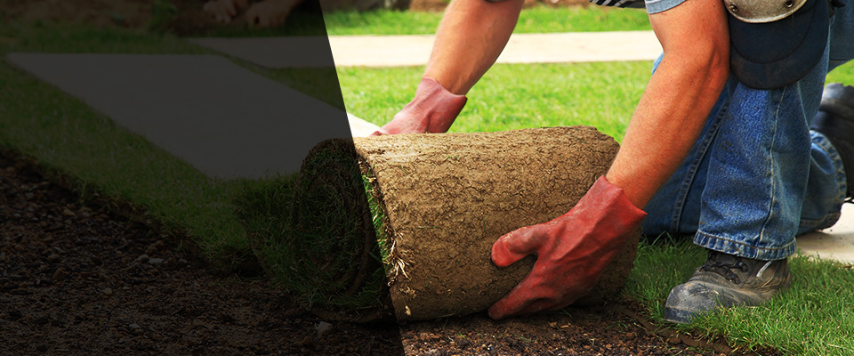 Windom Landscapers